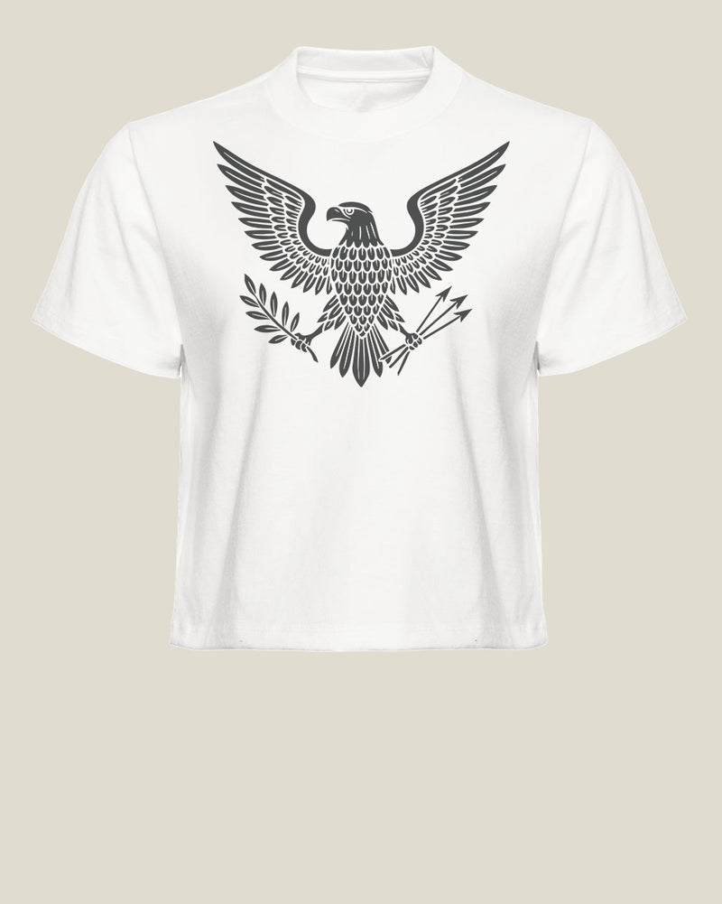 Virtue and Valor Boxy Tee